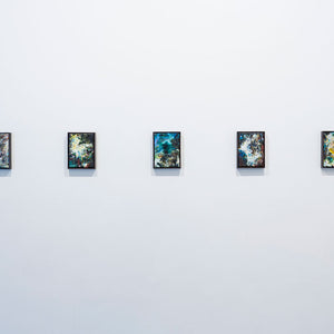 Irene Hanenbergh’s 'House of Dandelion & Lohr (outperformance)' at Hugo Michell Gallery, 2015