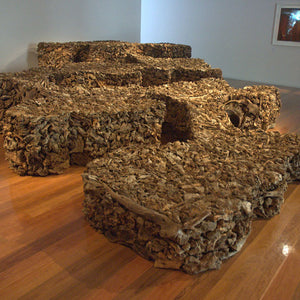 James Darling and Lesley Forwood, Everyone lives downstream 2, 2007, Mallee roots, at Wonderful World, Anne & Gordon Samstag Museum of Art
