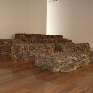James Darling and Lesley Forwood, Everyone lives downstream 2, 2007, Mallee roots, at Wonderful World, Anne & Gordon Samstag Museum of Art