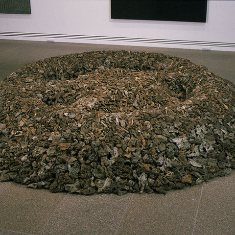 James Darling and Lesley Forwood, Malleefowl nest 6: Spring, 2000, Mallee roots, at Chemistry: South Australian Art 1900 – 2000, Art Gallery of South Australia