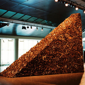 James Darling and Lesley Forwood, Triangle 2, 2005, 8 tonnes Mallee roots, 3.5 x 8.8 x 1.0 m, The Esplanade National Performing Arts Centre, Singapore