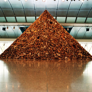 James Darling and Lesley Forwood, Triangle 2, 2005, 8 tonnes Mallee roots, 3.5 x 8.8 x 1.0 m, The Esplanade National Performing Arts Centre, Singapore