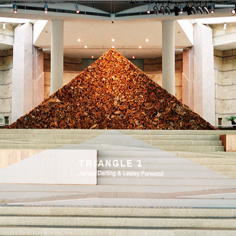 James Darling and Lesley Forwood, Triangle 2, 2005, 8 tonnes Mallee roots, 3.5 x 8.8 x 1.0 m, The Esplanade National Performing Arts Centre, Singapore