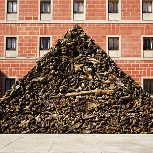 James Darling and Lesley Forwood, Triangle 1, 2002, Mallee roots, 2.5 x 5.0 x 1.0 m, Centro Cultural Conde Duque, Madrid, Spain