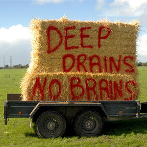 James Darling and Lesley Forwood, Troubled Waters: Didicoolum Drain Extension, 2008, 10.5 tonnes Mallee roots & photographs, at the 2008 Adelaide Biennial of Australian Art: Handle with Care, Art Gallery of South Australia