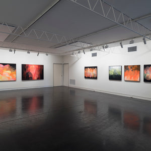 James Dodd’s ‘Miller’ at Hugo Michell Gallery, 2018