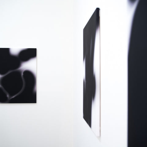 James L Marshall’s 'Soft-Machine Buzz' at Hugo Michell Gallery, 2016