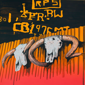  James Dodd, Kimberley Skulls, 2010, acrylic on canvas, 100 x 110 cm