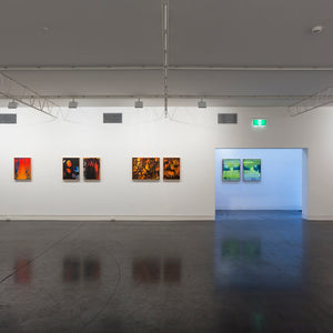 James Dodd’s ‘Pigment High’ at Hugo Michell Gallery, 2015