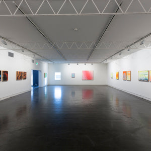 James Dodd’s ‘Pigment High’ at Hugo Michell Gallery, 2015