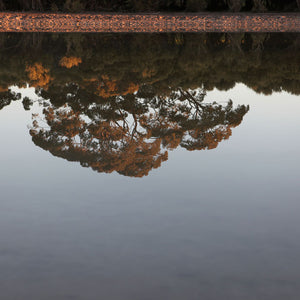 James Darling, Black Duck Lake Water Table 2, 2010, hahnemuhle photo rag, 40 x 60 cm