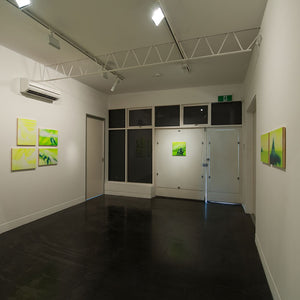 James Dodd’s ‘Tip of the Iceberg’ at Hugo Michell Gallery, 2013
