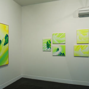 James Dodd’s ‘Tip of the Iceberg’ at Hugo Michell Gallery, 2013