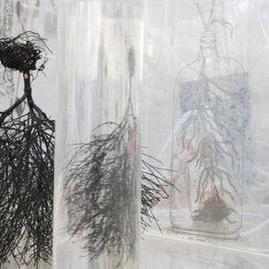 Janet Lawrence, Waiting: A Medicinal Garden for Ailing Plants, 2010, Australian native plants, laboratory glass, blown glass, steel, horticultural mesh, acrylic, salt, amethyst, medical silicon tubing, water and various fluids, ink-jet prints and screen prints on acrylic, water crystals, tulle, carbon, sulphur, various plant seeds, charred wood and plants, water pumps and ash, installation dimensions variable, at the Royal Botanic Gardens, Sydney for the Sydney Biennale 2010