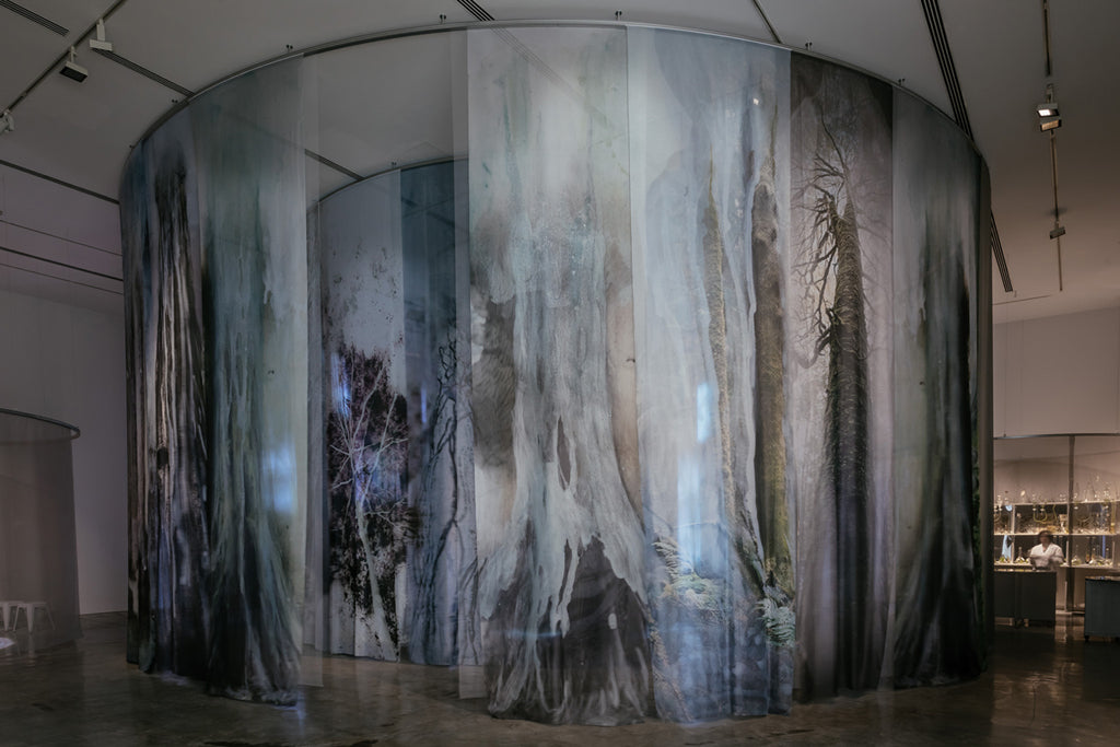 Hugo Michell Adelaide AFTER NATURE, MUSEUM OF CONTEMPORARY ART AUSTRALIA – Hugo Michell Gallery