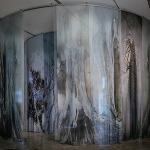 Janet Laurence’s ‘After Nature’ at the Museum of Contemporary Art Australia, 2019. Photography by Jacqui Manning