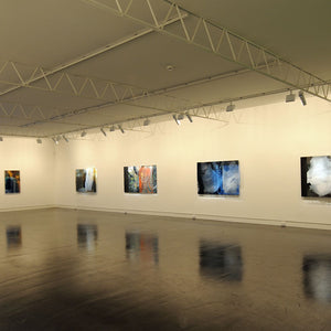 Janet Laurence’s ‘Things that disappear’ at Hugo Michell Gallery, 2009