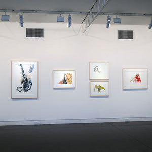 Darren Knight Gallery, Sydney at Hugo Michell Gallery, Adelaide, 2011