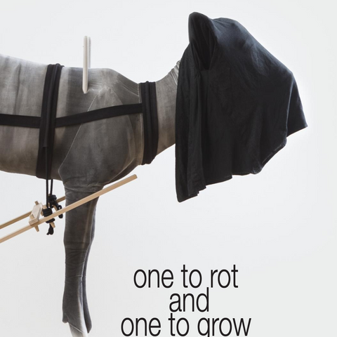 Julia Robinson 'One to rot and One to grow' Artist Monograph