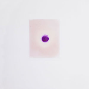 Justine Varga, Plug, 2011, type C photograph, 40.6 x 30.5 cm, ed. of 3