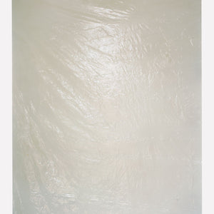 Justine Varga, Sounding Silence #3, 2014, type C photograph, 96.5 x 76 cm, ed. of 6