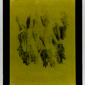 Justine Varga, Leafing #2, 2018, from Areola, chromogenic photograph, 157.5 x 122 cm, ed. of 5