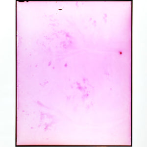 Justine Varga, Eclipse #4, 2011, type C photograph, 52 x 41 cm (image size), 63.5 x 53 cm, ed. of 3