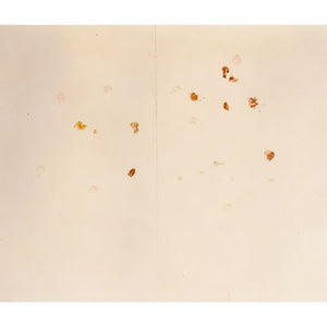 Justine Varga, Empty Studio #3, 2009, type C print, 22.4 x 28.6 cm, ed. of 5