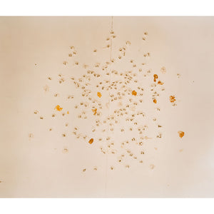 Justine Varga, Empty Studio #8, 2009, type C print, 22.4 x 28.6 cm, ed. of 5
