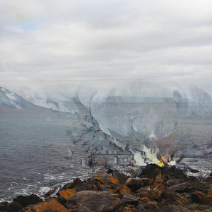Laura Wills and James Tylor, Thick Landscape, Kangaroo Island, 2021, pastel, pencil and pigment ink on paper, 138 x 112 cm