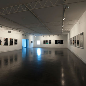 Richard Lewer & Tony Garifalakis Collaboration at Hugo Michell Gallery, 2012
