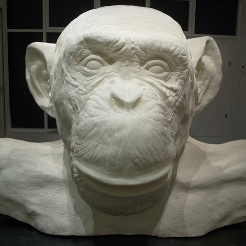 Lisa Roet’s 'Skins' at Hugo Michell Gallery, 2017