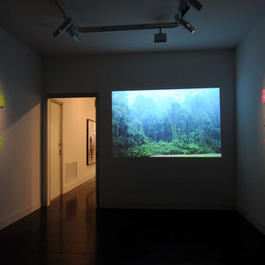 Lisa Roet’s ‘Solo Show’ at Hugo Michell Gallery, 2010