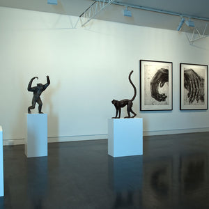 Lisa Roet’s ‘Distinct Extinction’ at Hugo Michell Gallery, 2012