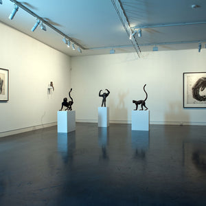 Lisa Roet’s ‘Distinct Extinction’ at Hugo Michell Gallery, 2012