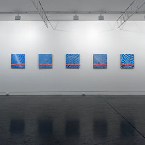 Lucas Grogan’s ‘Red White and Blue’ at Hugo Michell Gallery, 2016
