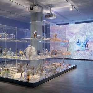 Janet Laurence’s ‘After Nature’ at the Museum of Contemporary Art Australia, 2019. Photography by Zan Wemberley