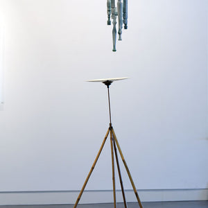 Nadine Christensen, Dead and gone, 2009, mixed media, dimensions variable