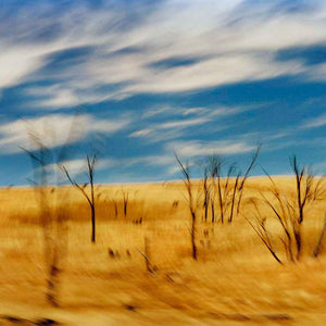 Narelle Autio, Road to Gundagai, 2003-13, from To the Sea, pigment print, 67 x 98 cm, ed. of 6
