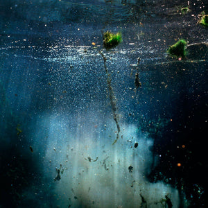 Narelle Autio, Untitled #8, 2012, from Waterhole, type C print, 82 x 120 cm