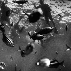 Narelle Autio, Untitled #112, 1999 – 2000, from The Seventh Wave, silver gelatin print, 24 x 36 cm, ed. of 25; type C print, 80 x 121 cm, ed. of 15