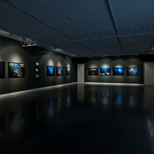 Narelle Autio’s ‘Waterhole’ at Hugo Michell Gallery, 2012