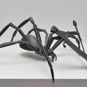 Paul Sloan & Dan McLean, Untitled (Spider Baghdad – Grey), 2014, from the World Index series, 3D-printed plastic, approx. 32 x 21 cm, ed. of 5