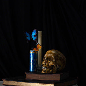 Paul Sloan, Still Life #3, 2014, from New Bounty, pigment print on hahnemuhle photo rag, 80 x 70 cm, ed. of 5