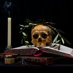 Paul Sloan, Still Life #4, 2014, from New Bounty, pigment print on hahnemuhle photo rag, 60 x 80 cm, ed. of 5