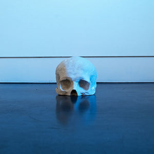 Paul Sloan, The Descent of Man, 2012, cast gypsum stone, dimensions variable