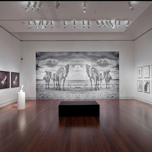Paul Sloan for ‘Heartland’ at the Art Gallery of South Australia, 2013