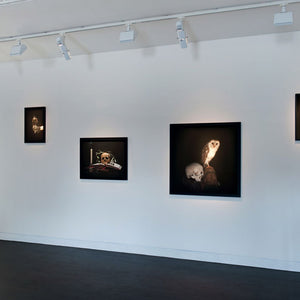 Paul Sloan’s ‘New Bounty’ at Hugo Michell Gallery, 2014