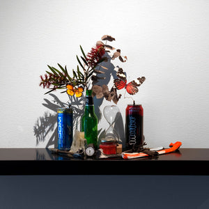 Paul Sloan’s ‘New Bounty’ at Hugo Michell Gallery, 2014