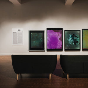 Justine Varga in ‘Defining Place/Space: Contemporary Photography from Australia’ at the Museum of Photographic Arts, San Diego, 2019